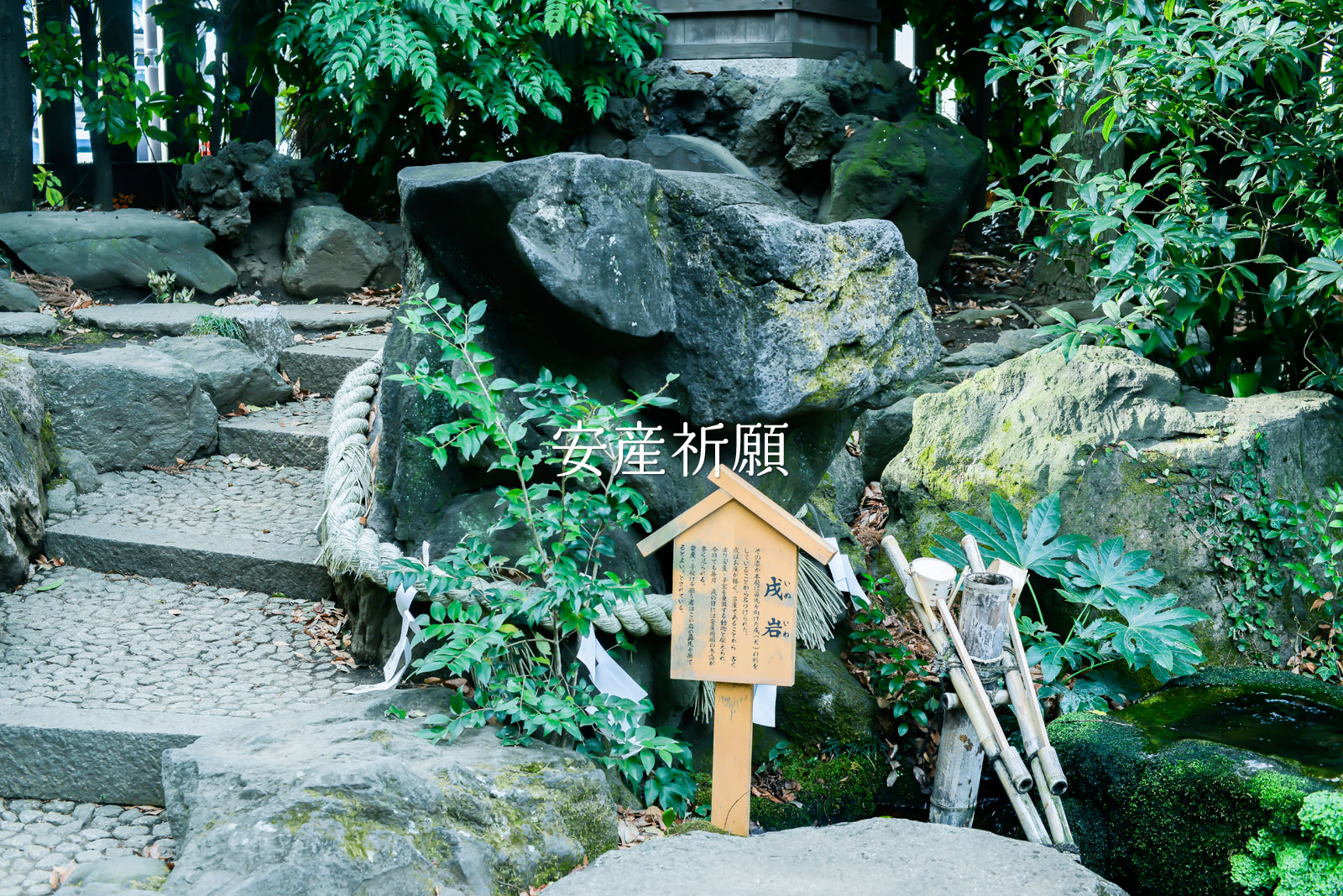 縁結びの神様 川越氷川神社：安産、お宮参り、戌の日